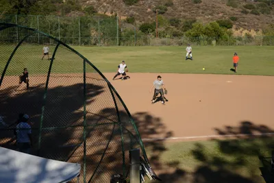 DSC_3919 (Large).JPG